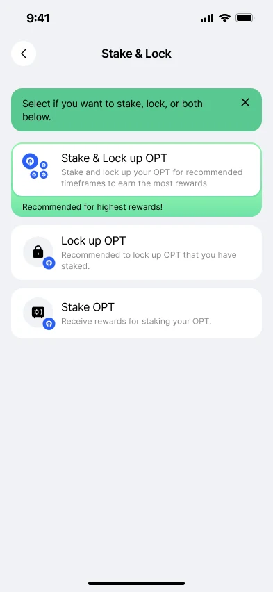 Stake and lock options