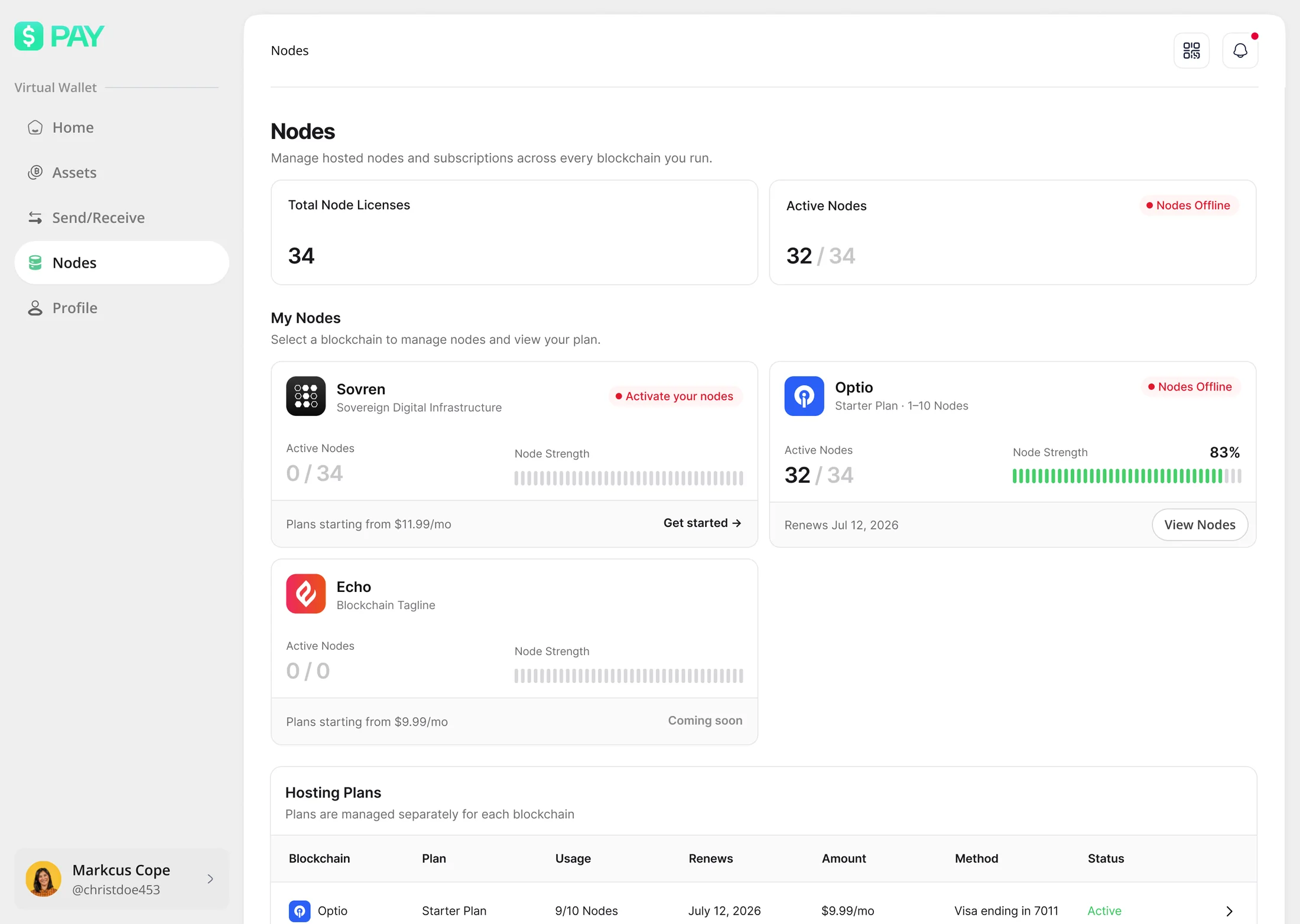 Web nodes page: total node licenses and active-node count with an offline warning, per-blockchain cards showing active nodes and a node-strength meter, an unstarted chain with its entry price, and a hosting-plans table with usage, renewal date, amount, payment method and status