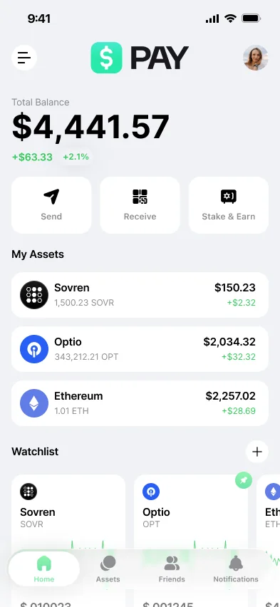 Pay home: balance, assets and quick actions